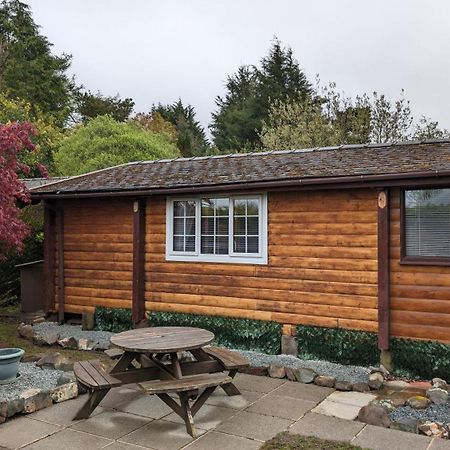 Snowdonia Log Cabin 2 Vila Trawsfynydd Exterior foto
